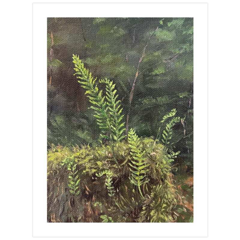 New Growth