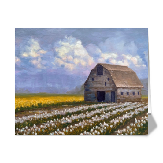 A Field of White