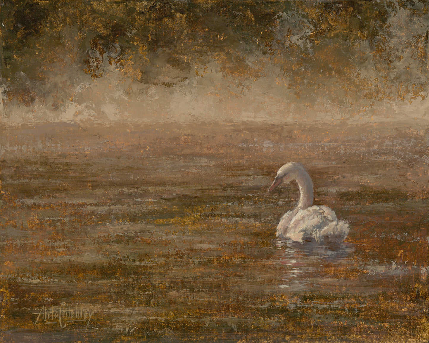 Swanrise Reproduction print